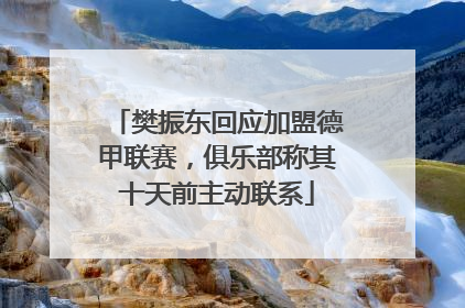 樊振东回应加盟德甲联赛，俱乐部称其十天前主动联系